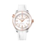 Seamaster Planet Ocean 600M